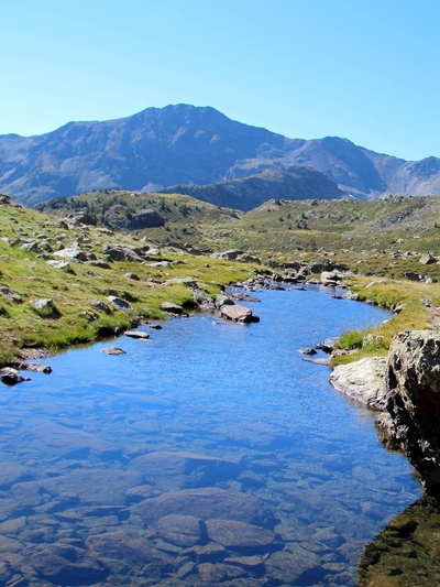 Ordino